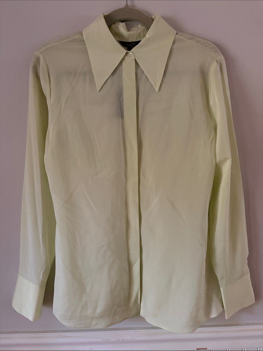 Massimo Dutti Long-Sleeve Silk Shirt in Light Green NWT